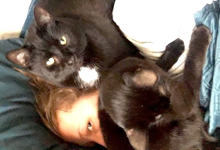 26 People Who Hoped for a Sea of Feline Love but Got an Ocean of Problems