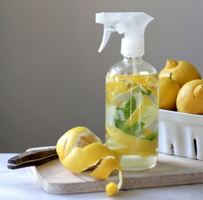 16 Reasons Why Lemons Are the Most Useful Thing in the World