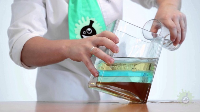 Eight easy science experiments that you can do with your kids
